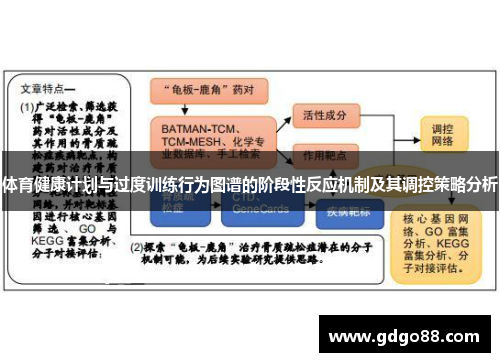 体育健康计划与过度训练行为图谱的阶段性反应机制及其调控策略分析
