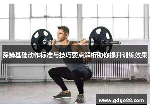 深蹲基础动作标准与技巧要点解析助你提升训练效果